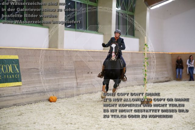 s_K3F01689.JPG